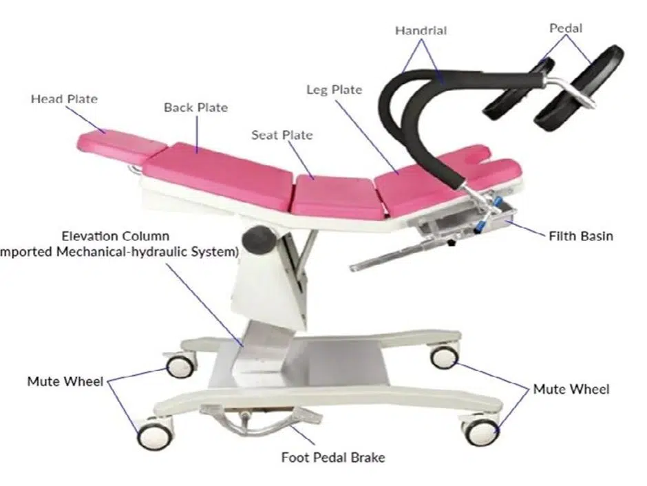 تخت ژنیکولوژی چیست
